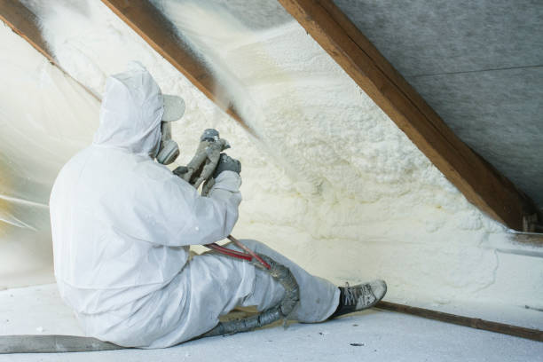 Best Radiant Barrier Insulation  in La Porte, TX